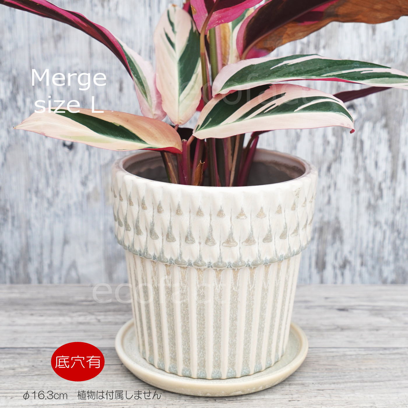 ポット 鉢 植木鉢 プランター おしゃれ 陶器 φ16.3cm Merge L ホワイト フラワーベース 花瓶 ガーデニング 園芸