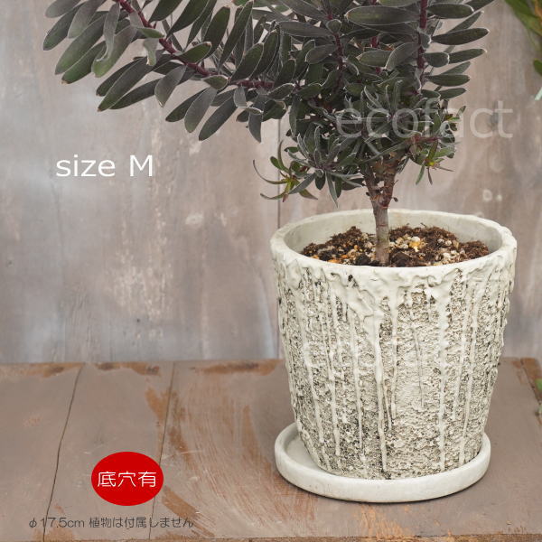 植木鉢 おしゃれ セメント鉢 フラワーポット ミニポット 底穴あり メルティポットM φ17.5cm プランター 園芸鉢 観葉植物 オージープランツ
