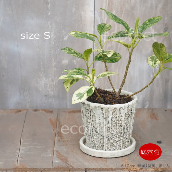 植木鉢 おしゃれ セメント鉢 フラワーポット ミニポット 底穴あり メルティポットS φ12cm プランター 園芸鉢 観葉植物 オージープランツ