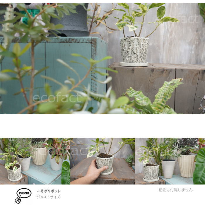 植木鉢 おしゃれ セメント鉢 フラワーポット ミニポット 底穴あり メルティポットS φ12cm プランター 園芸鉢 観葉植物 オージープランツ
