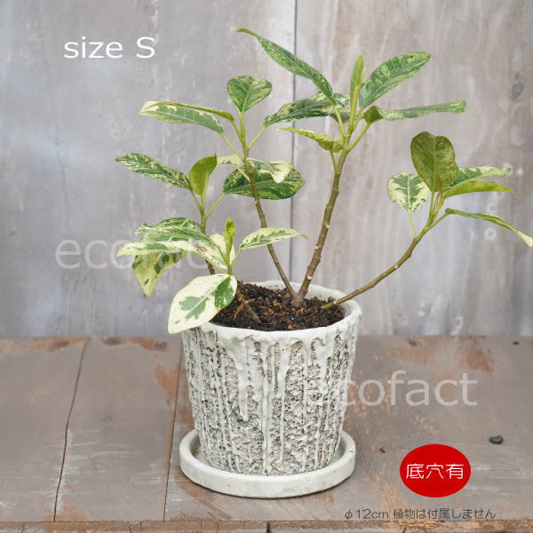 植木鉢 おしゃれ セメント鉢 フラワーポット ミニポット 底穴あり メルティポットS φ12cm プランター 園芸鉢 観葉植物 オージープランツ