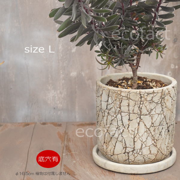 植木鉢 おしゃれ セメント鉢 フラワーポット ミニポット 底穴あり ロッシュL φ16.5cm プランター 園芸鉢 観葉植物 オージープランツ