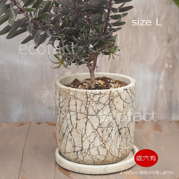 植木鉢 おしゃれ セメント鉢 フラワーポット ミニポット 底穴あり ロッシュL φ16.5cm プランター 園芸鉢 観葉植物 オージープランツ