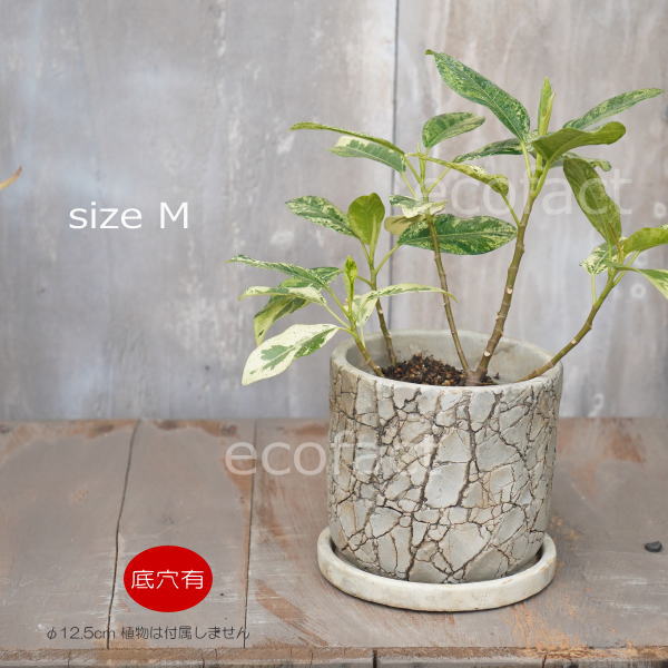 植木鉢 おしゃれ セメント鉢 フラワーポット ミニポット 底穴ありロッシュM φ12.5cm プランター 園芸鉢 観葉植物 オージープランツ