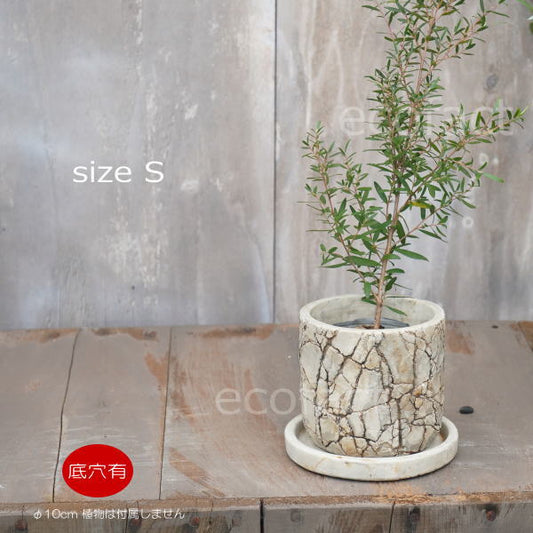 植木鉢 おしゃれ セメント鉢 フラワーポット ミニポット 底穴あり ロッシュS φ10cm  プランター 園芸鉢 観葉植物 オージープランツ