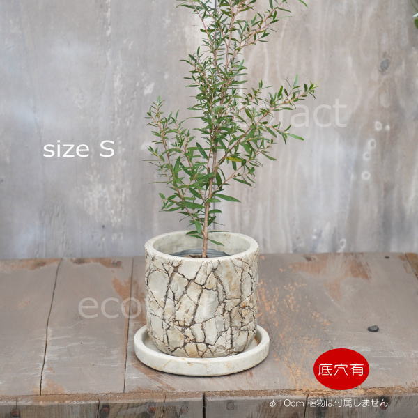 植木鉢 おしゃれ セメント鉢 フラワーポット ミニポット 底穴あり ロッシュS φ10cm プランター 園芸鉢 観葉植物 オージープランツ