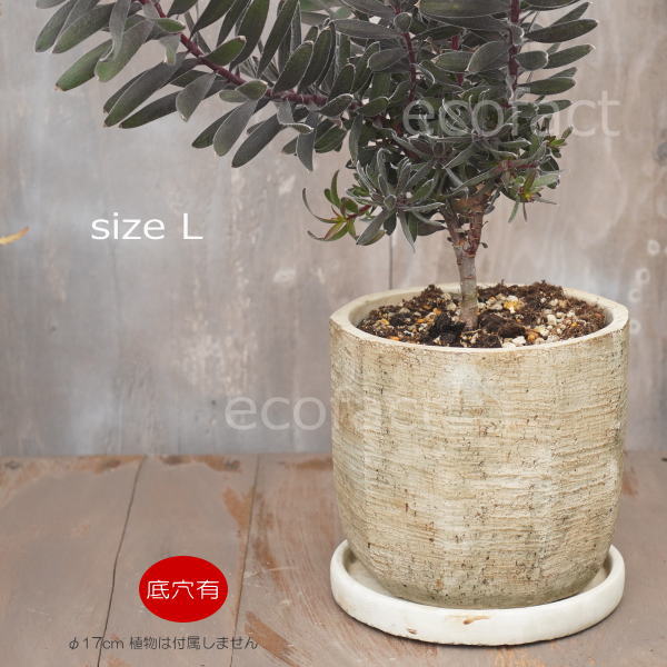 植木鉢 おしゃれ セメント鉢 フラワーポット ミニポット 底穴あり ノナゴンL φ17cm プランター 園芸鉢 観葉植物 オージープランツ