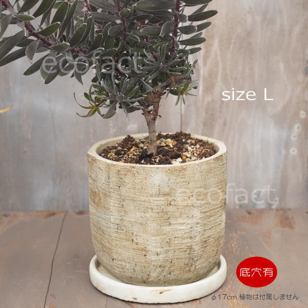 植木鉢 おしゃれ セメント鉢 フラワーポット ミニポット 底穴あり ノナゴンL φ17cm プランター 園芸鉢 観葉植物 オージープランツ