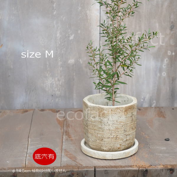 植木鉢 おしゃれ セメント鉢 フラワーポット ミニポット 底穴ありノナゴンM φ11cm プランター 園芸鉢 観葉植物 オージープランツ