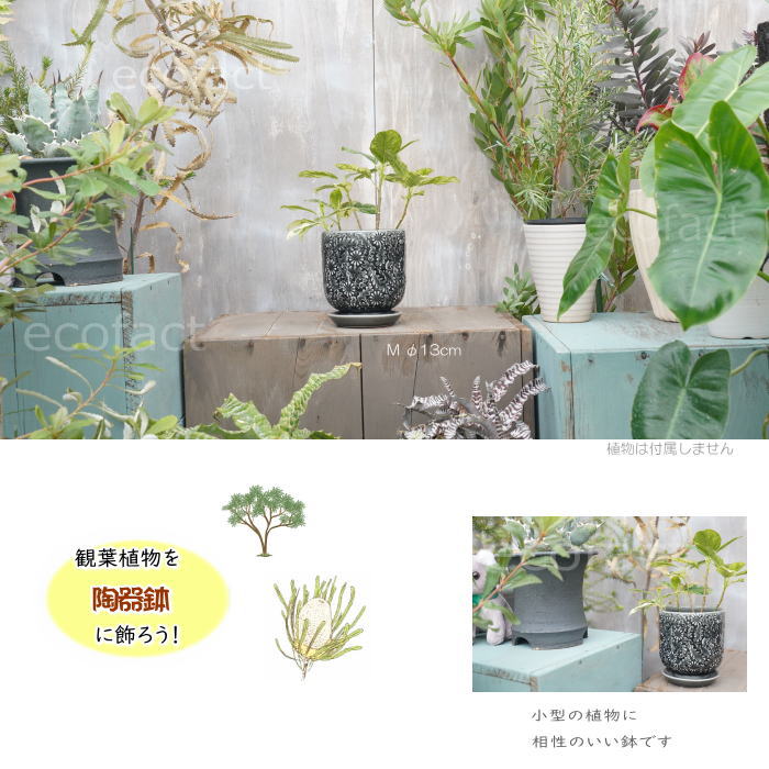 植木鉢 おしゃれ 陶器鉢 フラワーポット ミニポット 底穴あり ソルフロルM φ13cm プランター 園芸鉢 観葉植物 オージープランツ