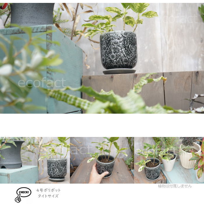 植木鉢 おしゃれ 陶器鉢 フラワーポット ミニポット 底穴あり ソルフロルM φ13cm プランター 園芸鉢 観葉植物 オージープランツ