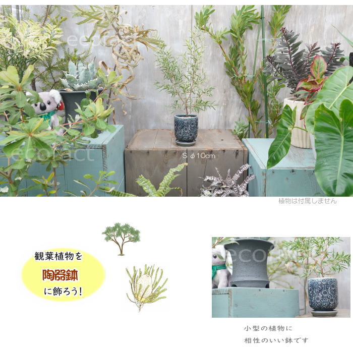 植木鉢 おしゃれ 陶器鉢 フラワーポット ミニポット 底穴あり ルフロルS φ10cm プランター 園芸鉢 観葉植物 オージープランツ