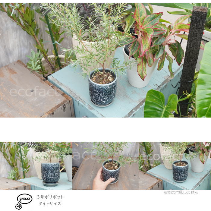 植木鉢 おしゃれ 陶器鉢 フラワーポット ミニポット 底穴あり ルフロルS φ10cm プランター 園芸鉢 観葉植物 オージープランツ