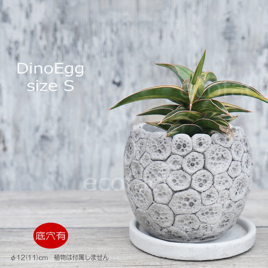 ポット 鉢 植木鉢 プランター おしゃれ セメント鉢 φ12cm ディノエッグ S フラワーベース 花瓶 ガーデニング 園芸