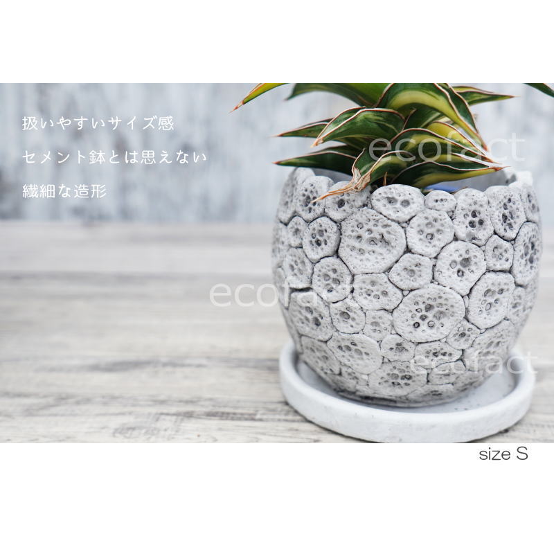 ポット 鉢 植木鉢 プランター おしゃれ セメント鉢 φ12cm ディノエッグ S フラワーベース 花瓶 ガーデニング 園芸
