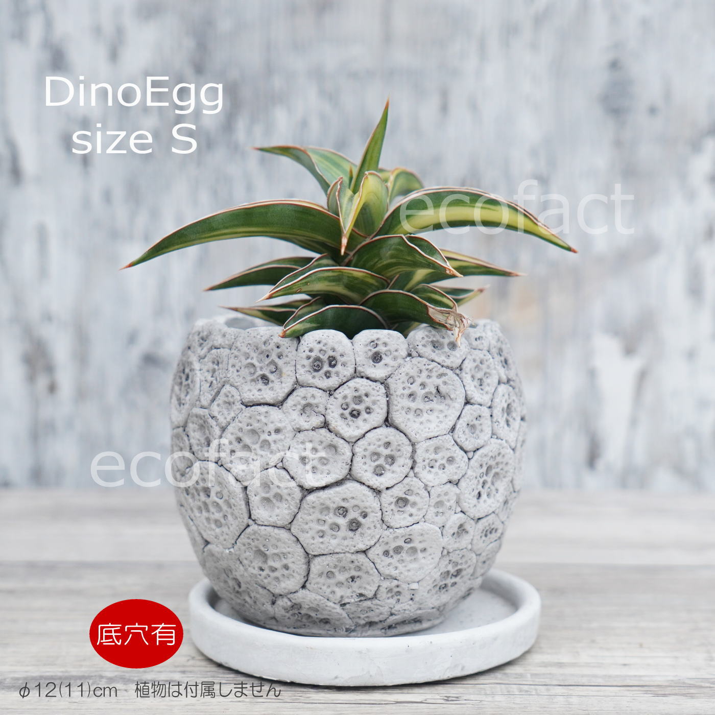 ポット 鉢 植木鉢 プランター おしゃれ セメント鉢 φ12cm ディノエッグ S フラワーベース 花瓶 ガーデニング 園芸