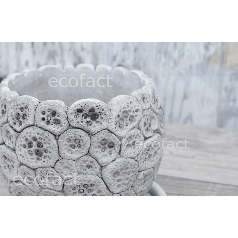 ポット 鉢 植木鉢 プランター おしゃれ セメント鉢 φ12cm ディノエッグ S フラワーベース 花瓶 ガーデニング 園芸