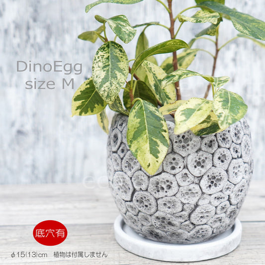 ポット 鉢 植木鉢 プランター おしゃれ セメント鉢 φ15cm ディノエッグ M フラワーベース 花瓶 ガーデニング 園芸