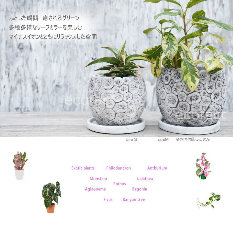 ポット 鉢 植木鉢 プランター おしゃれ セメント鉢 φ12cm ディノエッグ S フラワーベース 花瓶 ガーデニング 園芸