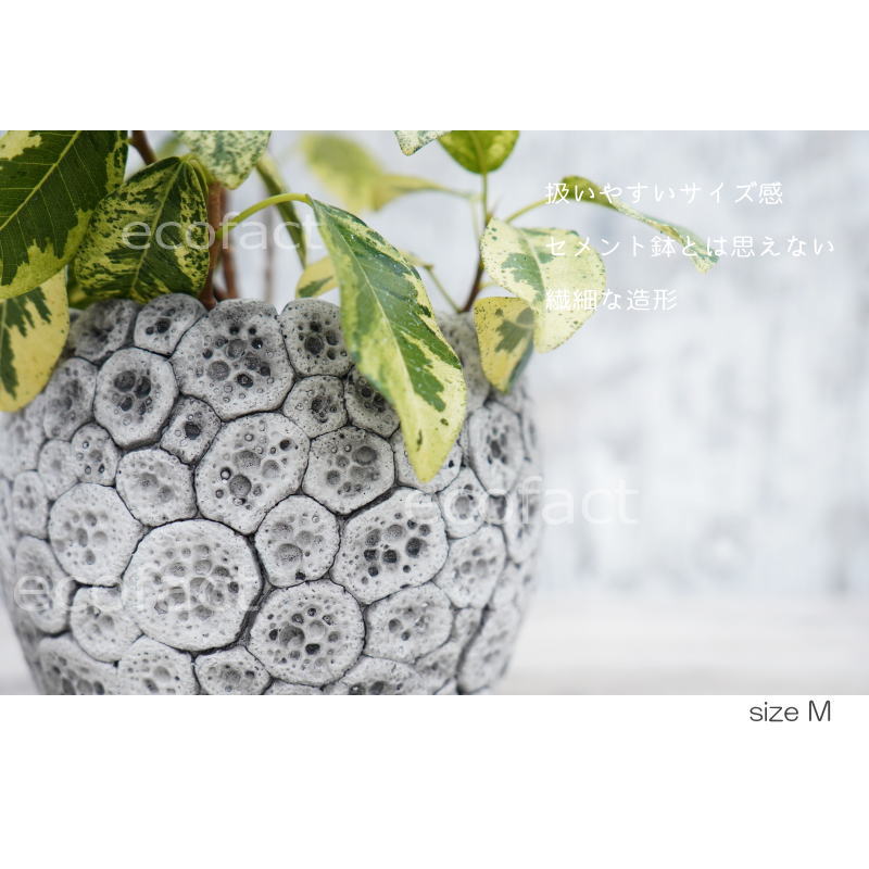 ポット 鉢 植木鉢 プランター おしゃれ セメント鉢 φ15cm ディノエッグ M フラワーベース 花瓶 ガーデニング 園芸