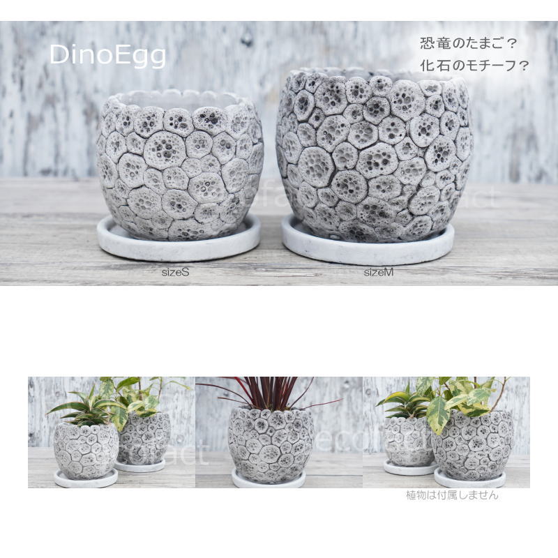 ポット 鉢 植木鉢 プランター おしゃれ セメント鉢 φ12cm ディノエッグ S フラワーベース 花瓶 ガーデニング 園芸