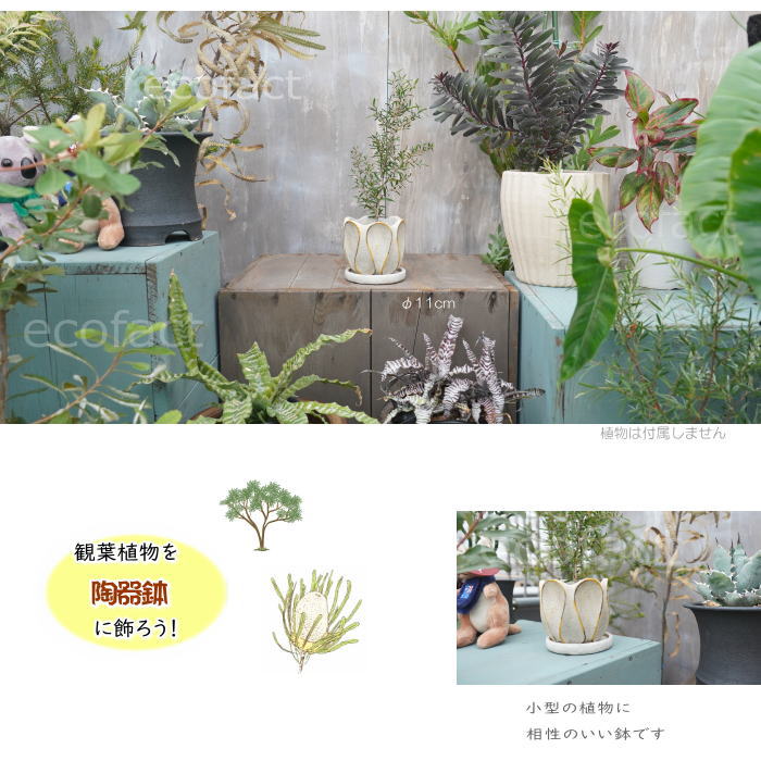 植木鉢 おしゃれ セメント鉢 フラワーポット ミニポット 底穴あり ループS φ11cm プランター 園芸鉢 観葉植物 オージープランツ