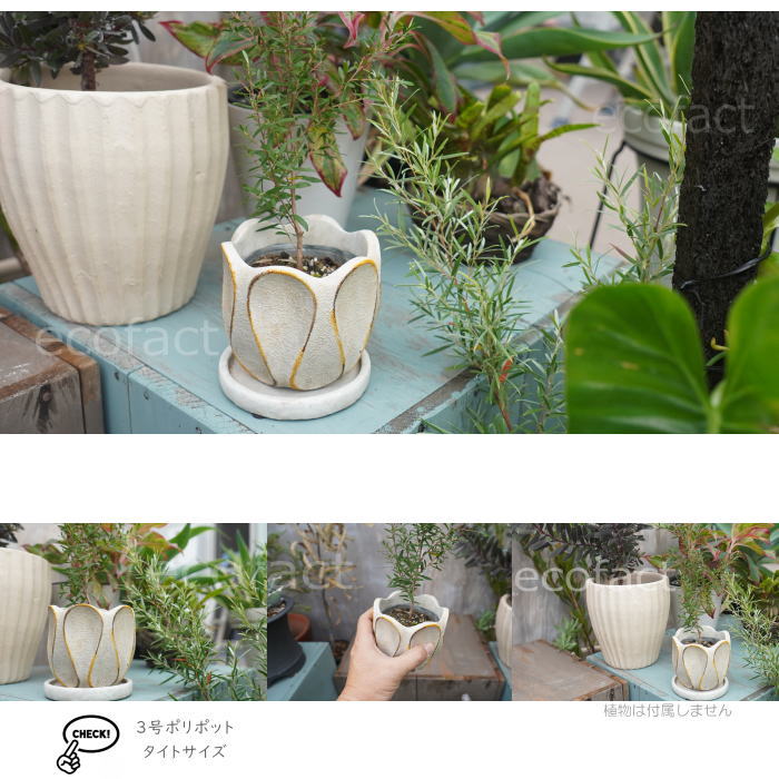 植木鉢 おしゃれ セメント鉢 フラワーポット ミニポット 底穴あり ループS φ11cm プランター 園芸鉢 観葉植物 オージープランツ