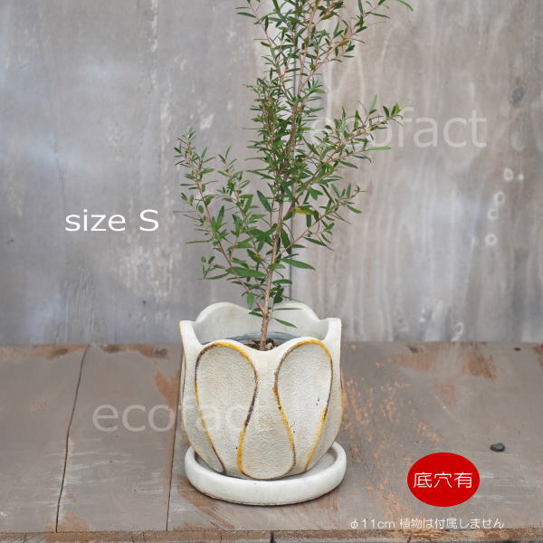 植木鉢 おしゃれ セメント鉢 フラワーポット ミニポット 底穴あり ループS φ11cm プランター 園芸鉢 観葉植物 オージープランツ