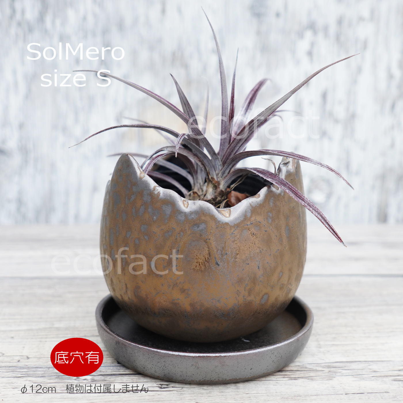 ポット 鉢 植木鉢 プランター おしゃれ 陶器 φ12cm Solmero S ブロンズ フラワーベース 花瓶 ガーデニング 園芸