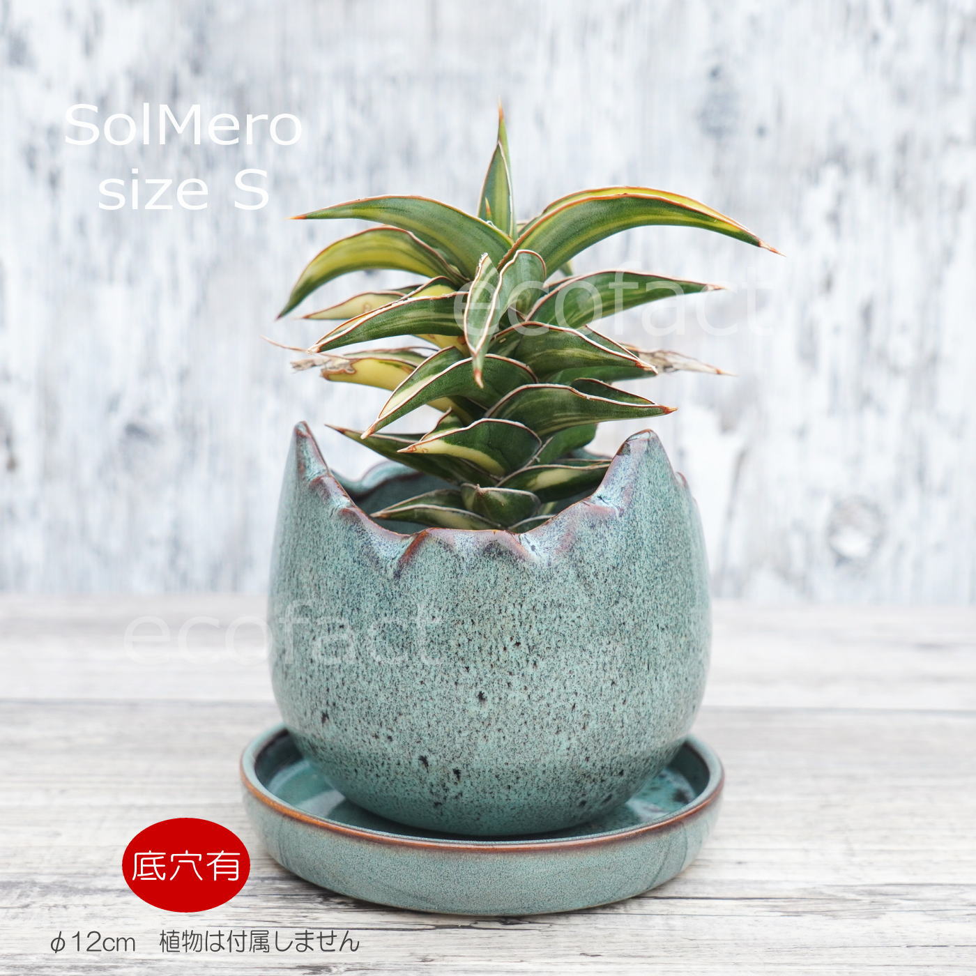 ポット 鉢 植木鉢 プランター おしゃれ 陶器 φ12cm Solmero S ブルー フラワーベース 花瓶 ガーデニング 園芸