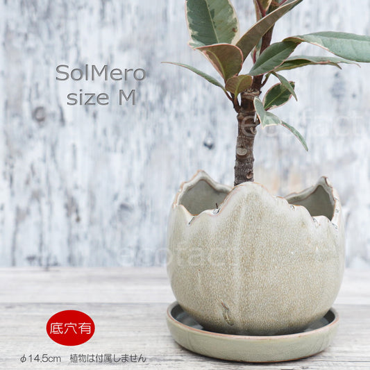 ポット 鉢 植木鉢 プランター おしゃれ 陶器 φ14.5cm Solmero M グレー フラワーベース 花瓶 ガーデニング 園芸