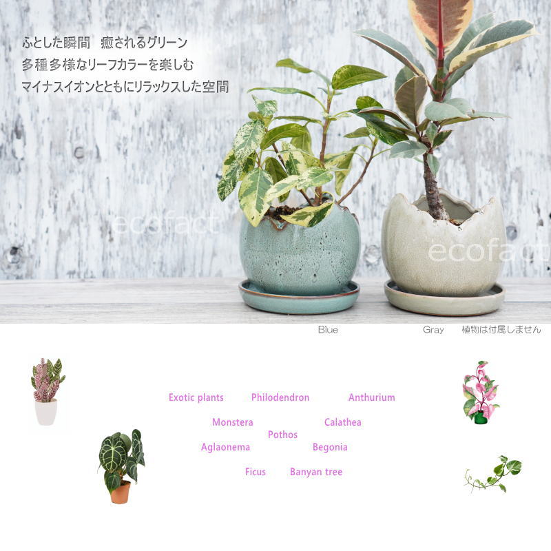 ポット 鉢 植木鉢 プランター おしゃれ 陶器 φ14.5cm Solmero M ブルー フラワーベース 花瓶 ガーデニング 園芸
