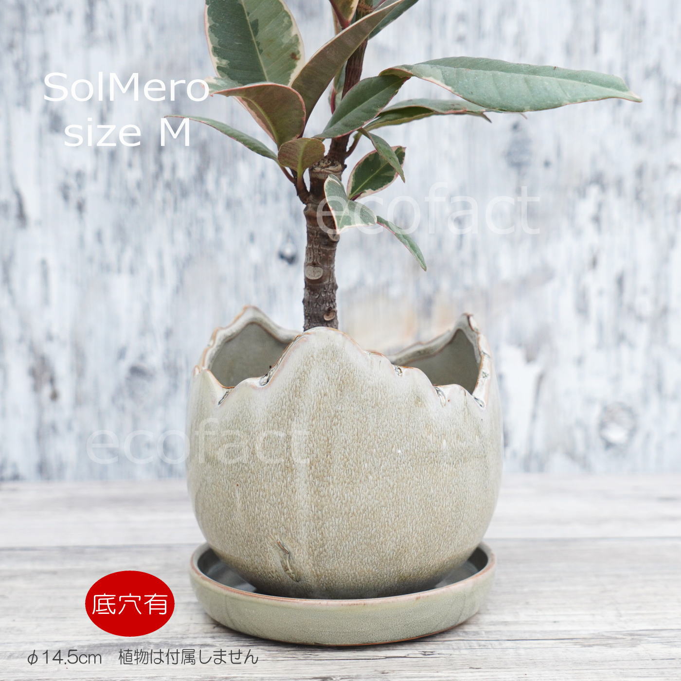 ポット 鉢 植木鉢 プランター おしゃれ 陶器 φ14.5cm Solmero M グレー フラワーベース 花瓶 ガーデニング 園芸