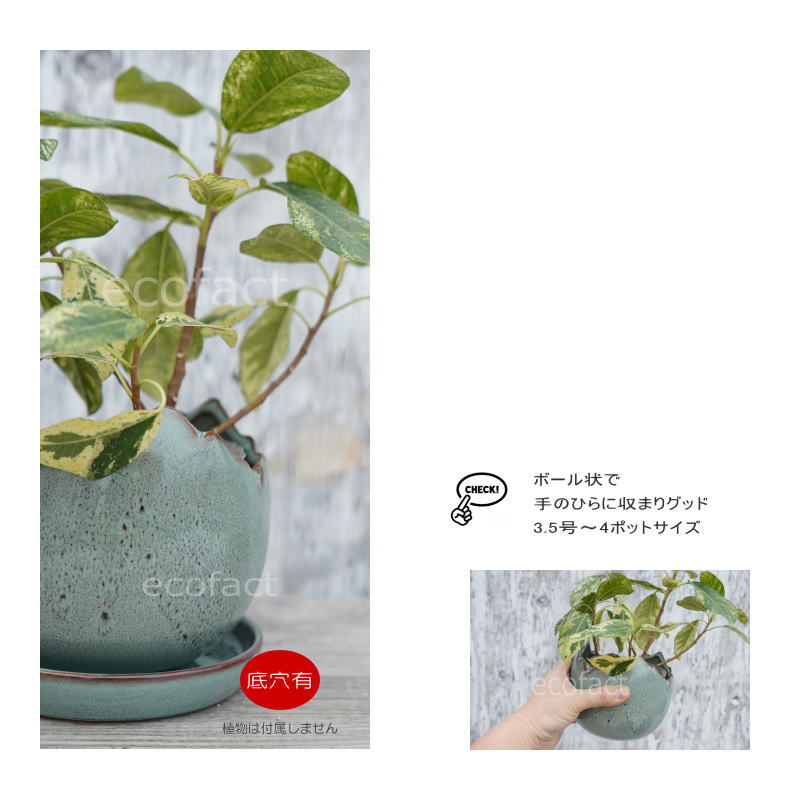ポット 鉢 植木鉢 プランター おしゃれ 陶器 φ14.5cm Solmero M ブルー フラワーベース 花瓶 ガーデニング 園芸