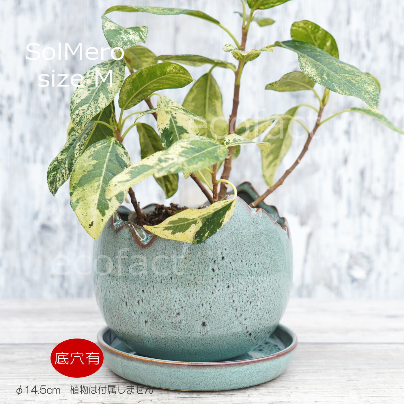 ポット 鉢 植木鉢 プランター おしゃれ 陶器 φ14.5cm Solmero M ブルー フラワーベース 花瓶 ガーデニング 園芸