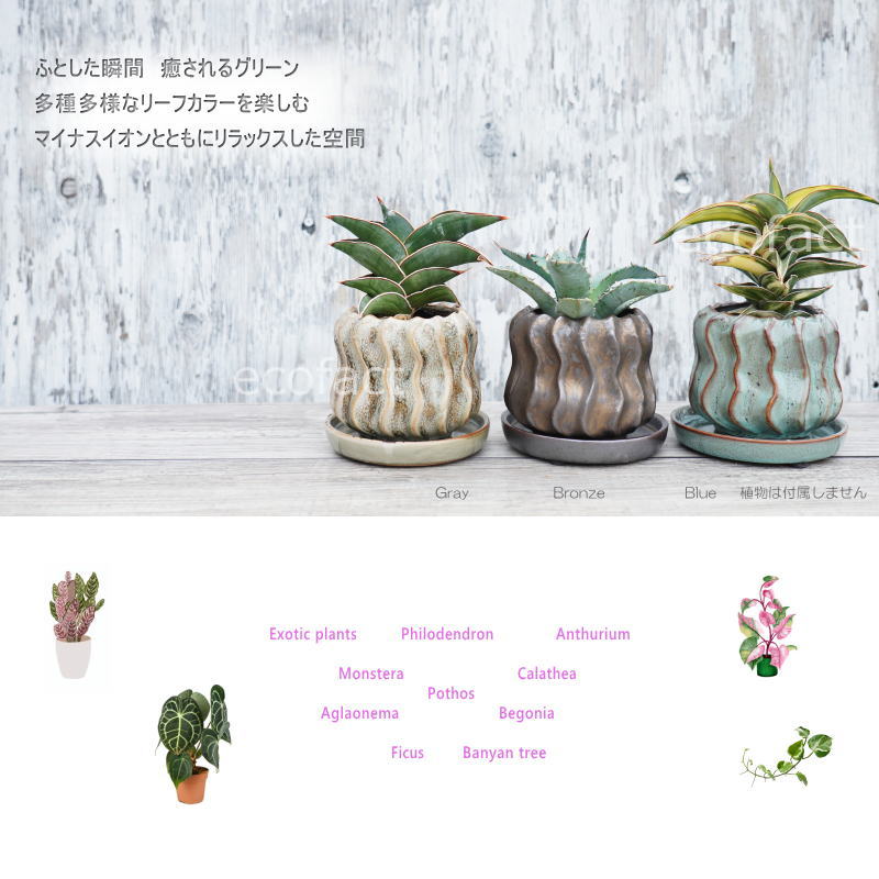 ポット 鉢 植木鉢 プランター おしゃれ 陶器 φ11cm Solnats S ブロンズ フラワーベース 花瓶 ガーデニング 園芸 (コピー)