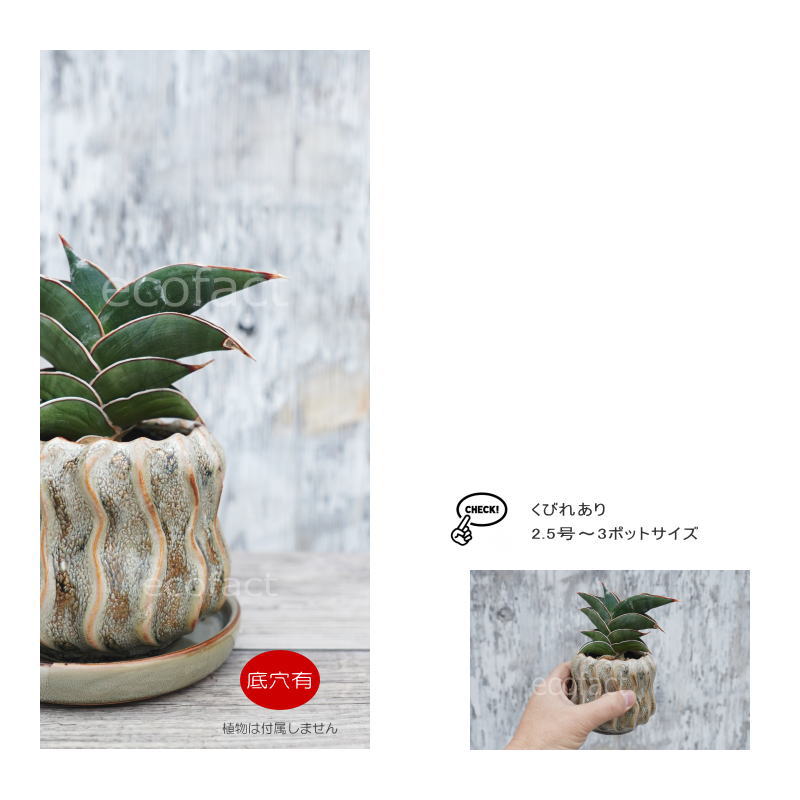 ポット 鉢 植木鉢 プランター おしゃれ 陶器 φ11cm Solnats S グレー フラワーベース 花瓶 ガーデニング 園芸