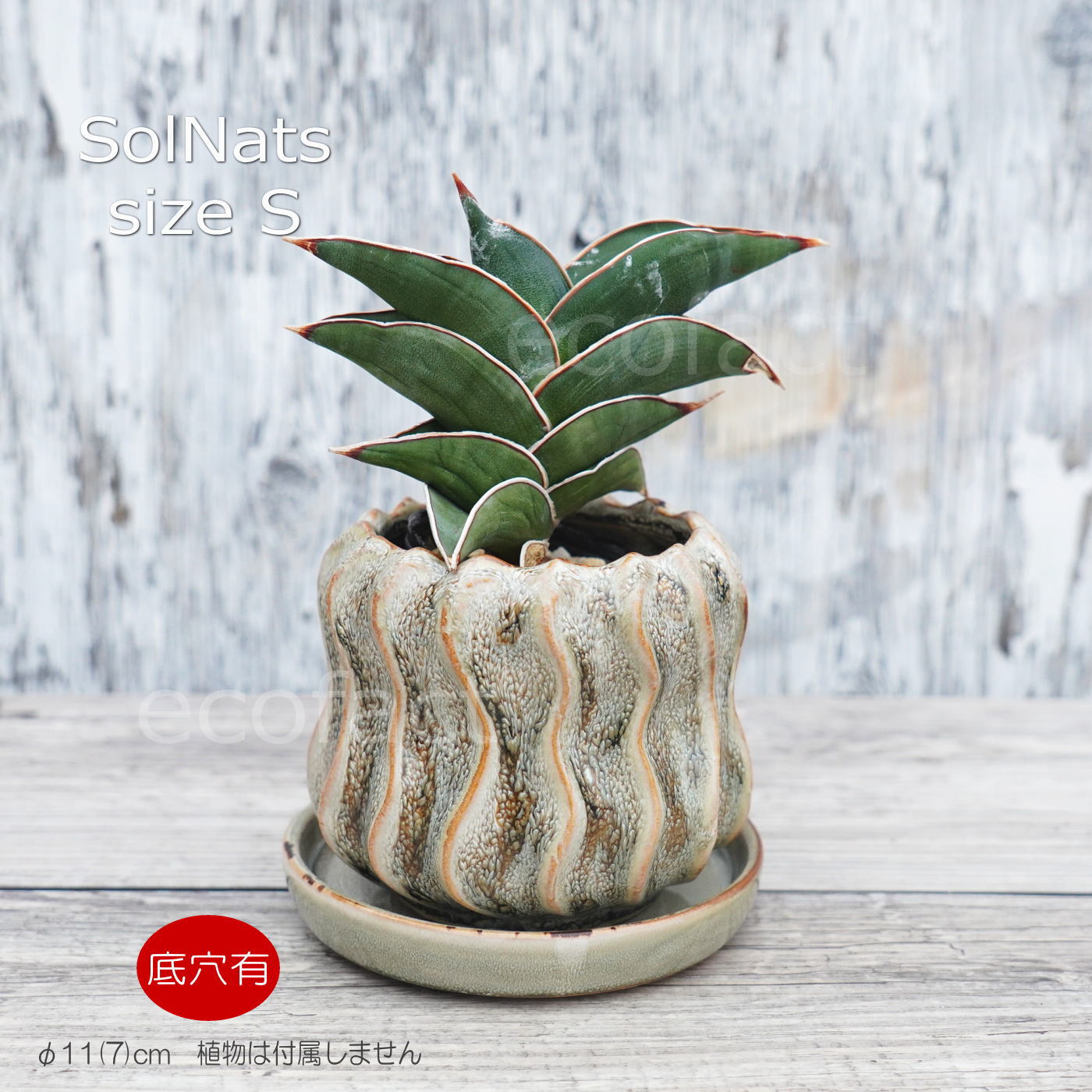 ポット 鉢 植木鉢 プランター おしゃれ 陶器 φ11cm Solnats S グレー フラワーベース 花瓶 ガーデニング 園芸