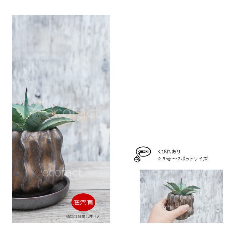 ポット 鉢 植木鉢 プランター おしゃれ 陶器 φ11cm Solnats S ブロンズ フラワーベース 花瓶 ガーデニング 園芸 (コピー)