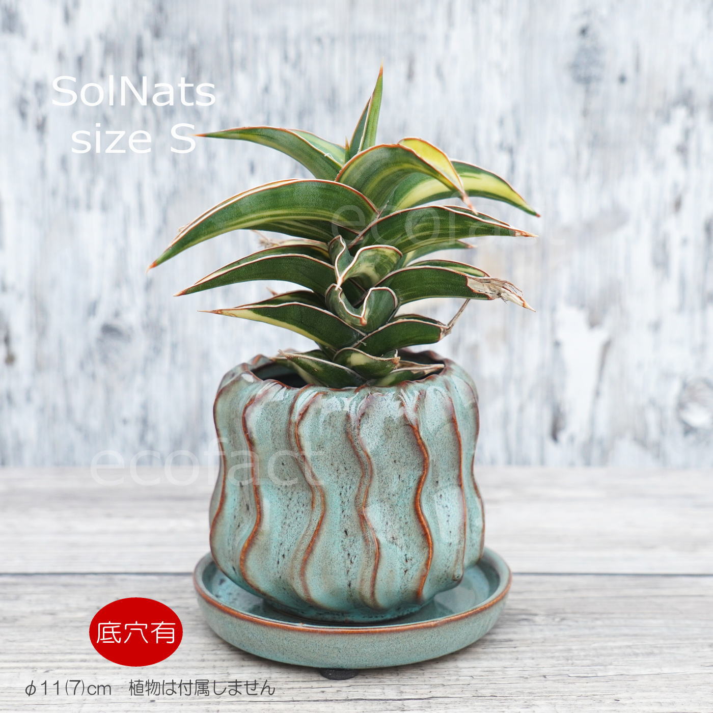 ポット 鉢 植木鉢 プランター おしゃれ 陶器 φ11cm Solnats S ブルー フラワーベース 花瓶 ガーデニング 園芸 (コピー) (コピー)