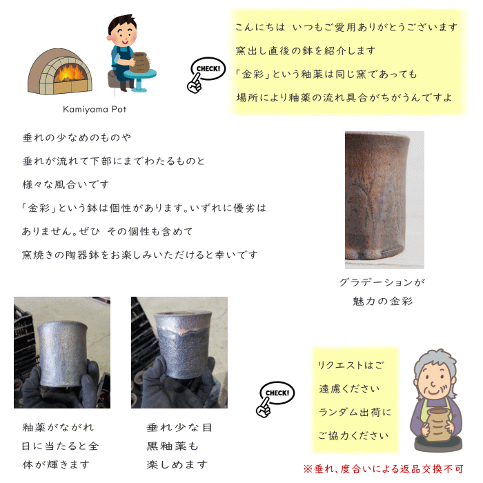 陶器鉢 植木鉢 5.5号フチ 底穴あり 金彩 ブラック おしゃれ プランター 園芸鉢 信楽焼 かみ山陶器 観葉植物 アガベ サボテン ビザールプランツ 塊根植物 コーデックス 多肉植物 ポット