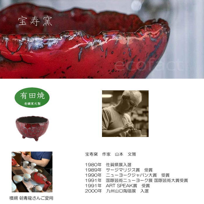 陶器鉢 植木鉢 ミニポット 底穴あり BUNGA POT エッグ(S)黒 ブラック φ10.5cm おしゃれ かわいい プランター 宝寿窯 有田焼 陶芸鉢 観葉植物 アガベ サボテン ビザールプランツ 塊根植物 コーデックス 多肉植物