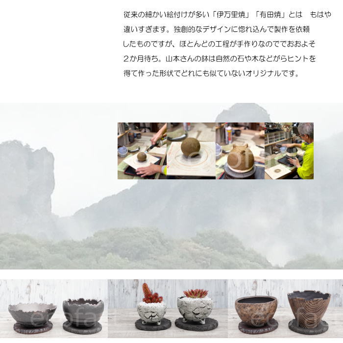 陶器鉢 植木鉢 ミニポット 底穴あり BUNGA POT エッグ(S)黒 ブラック φ10.5cm おしゃれ かわいい プランター 宝寿窯 有田焼 陶芸鉢 観葉植物 アガベ サボテン ビザールプランツ 塊根植物 コーデックス 多肉植物