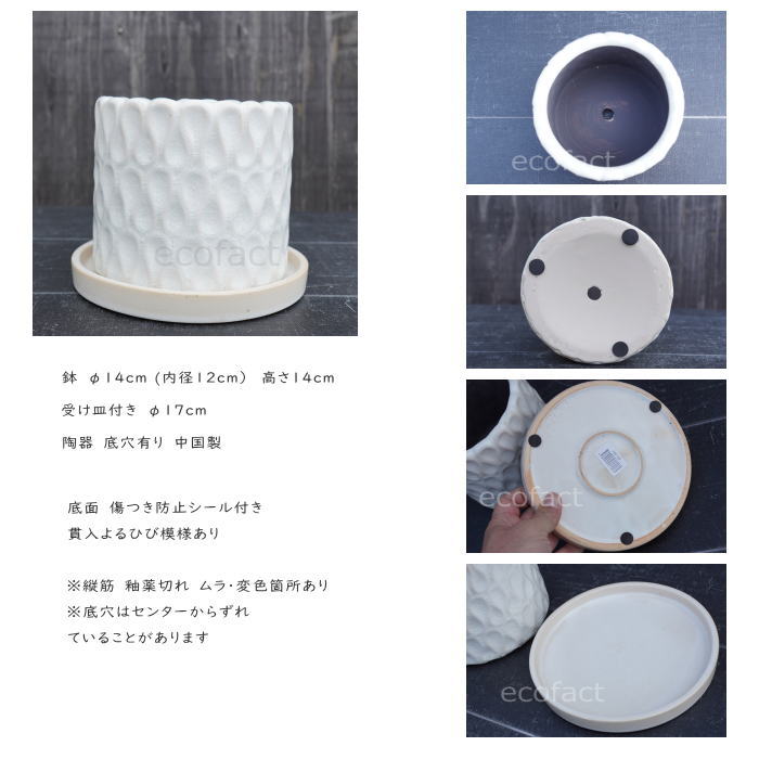 フラワーポット 植木鉢 おしゃれ 陶器鉢 ミニポット 底穴あり ドロップ ホワイト 筒型  φ14cm  プランター 園芸鉢 観葉植物 多肉植物 熱帯植物 アッシュグレイ アグラオネマ  カラテア