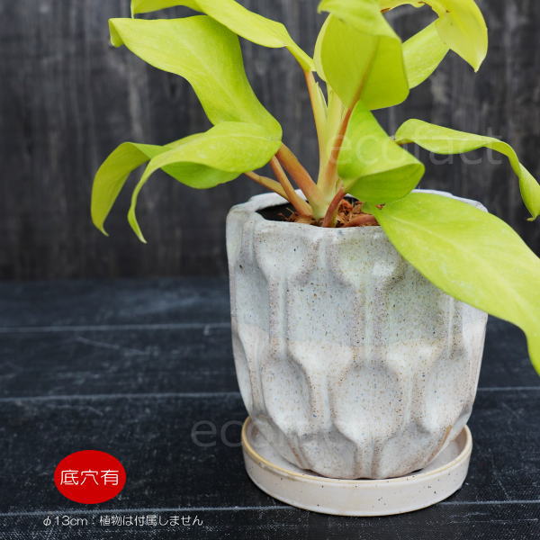 フラワーポット 植木鉢 おしゃれ 陶器鉢 ミニポット 底穴あり デントツートン φ13cm  プランター 園芸鉢 観葉植物 多肉植物 熱帯植物 アッシュグレイ アグラオネマ  カラテア