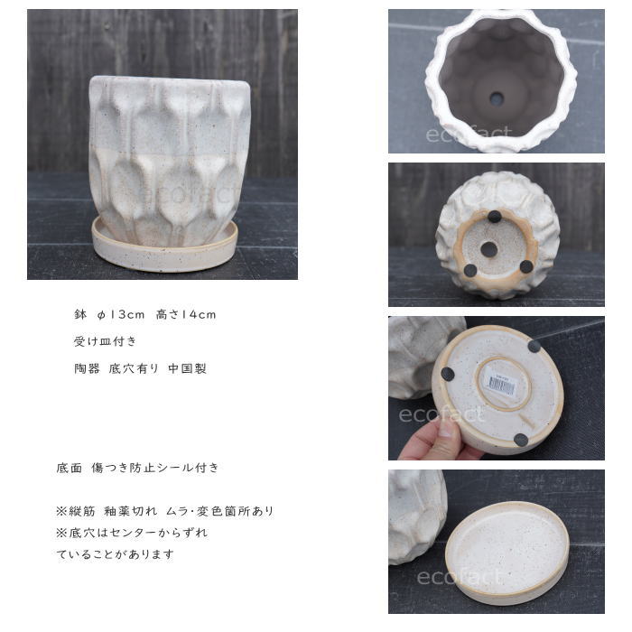フラワーポット 植木鉢 おしゃれ 陶器鉢 ミニポット 底穴あり デントツートン φ13cm  プランター 園芸鉢 観葉植物 多肉植物 熱帯植物 アッシュグレイ アグラオネマ  カラテア