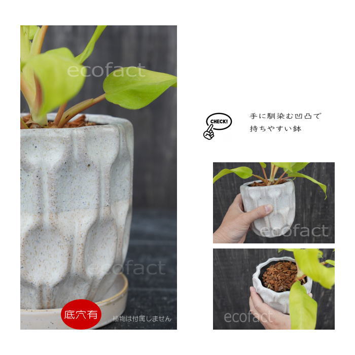 フラワーポット 植木鉢 おしゃれ 陶器鉢 ミニポット 底穴あり デントツートン φ13cm  プランター 園芸鉢 観葉植物 多肉植物 熱帯植物 アッシュグレイ アグラオネマ  カラテア