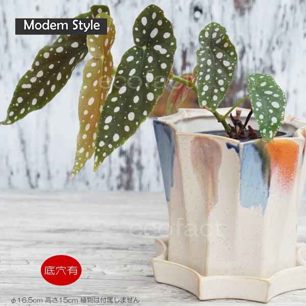 フラワーポット 植木鉢 おしゃれ 陶器鉢 オクタゴンL φ16.5cm  ポット 陶器  穴あり プランター 観葉植物  園芸 ガーデニング アグラオネマ  カラテア