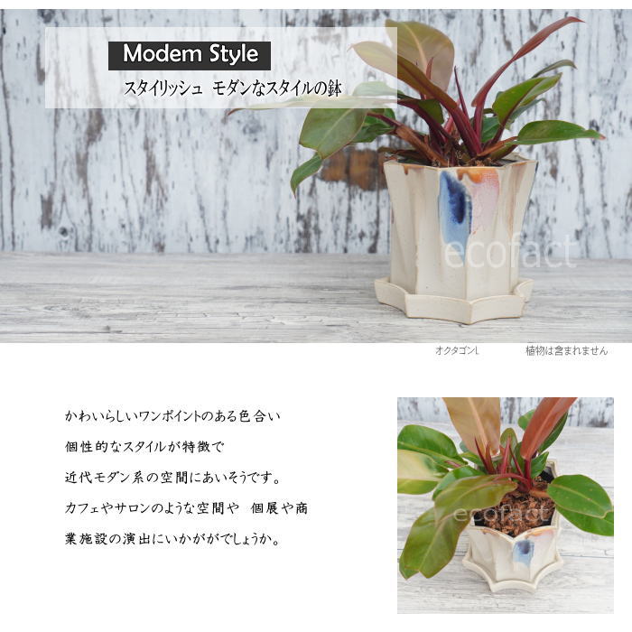 フラワーポット 植木鉢 おしゃれ 陶器鉢 オクタゴンL φ16.5cm  ポット 陶器  穴あり プランター 観葉植物  園芸 ガーデニング アグラオネマ  カラテア
