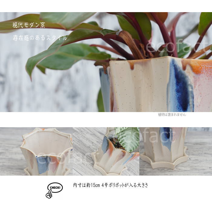 フラワーポット 植木鉢 おしゃれ 陶器鉢 オクタゴンL φ16.5cm  ポット 陶器  穴あり プランター 観葉植物  園芸 ガーデニング アグラオネマ  カラテア